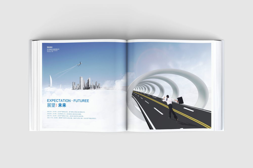 蜀山区画册设计